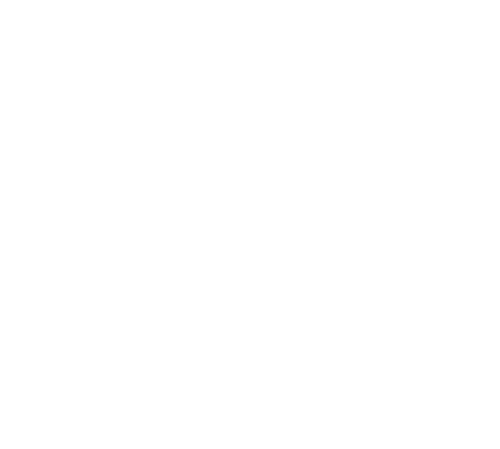 智识 白.png