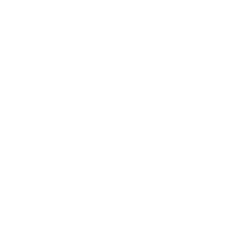 虚数 白.png