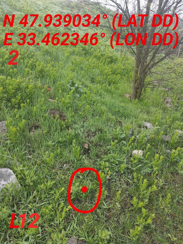 5463096580178571950.jpg
