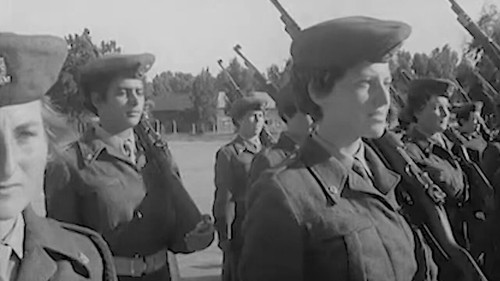dncYJtTisCqWW2v9.jpg