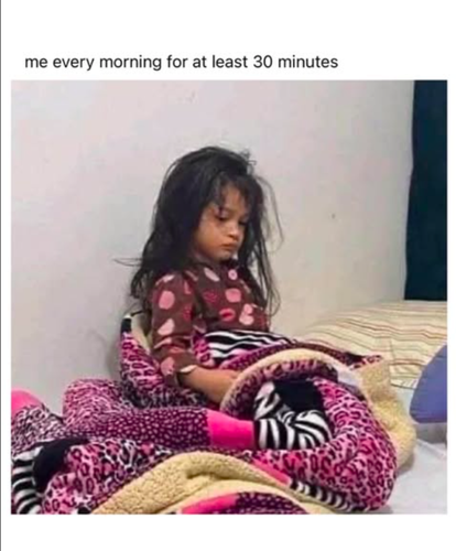 girly meme 69 720.png