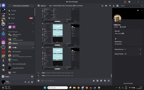 Discord NsQIX85L8Q.png