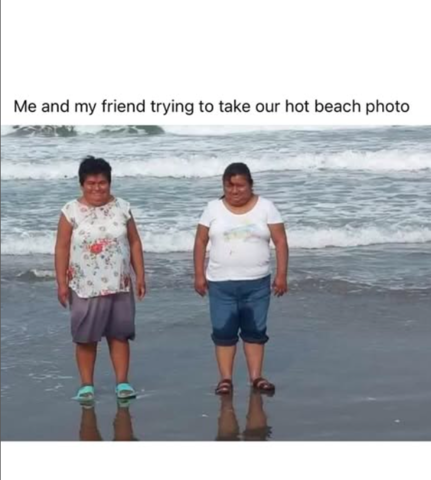 girly meme 76 480.png