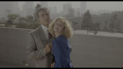 Agárralo Como Puedas (1988) UHDRemux 2160p DV HDR10 HEVC DD 2.0 HDZ.mkv snapshot 01.17.19.301.jpg