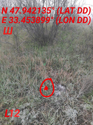 5463096580178571971.jpg