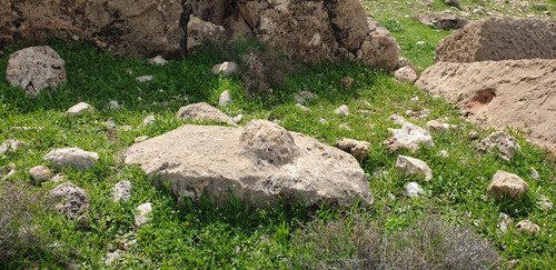 1000132281.jpg