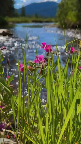 UwnGeOobYeJj bw .jpg