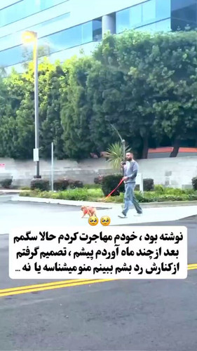 nM3eo gVk0shjp 9.jpg