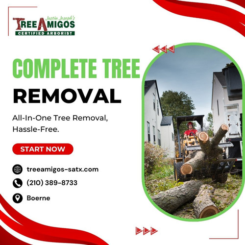 Complete Tree Removal in Boerne.jpg