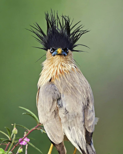GoKGScAbcAADsi6.jpg
