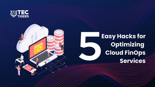 5 Easy Hacks for Optimizing Cloud FinOps Services.jpg