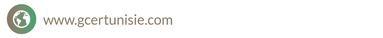 site web.png