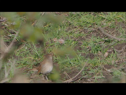 WtCI82DH pWqU6zJ.jpg