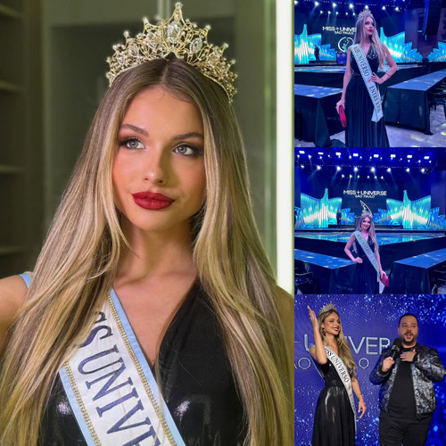 490413674 1216461936502922 3046027119409394879 n.jpg? nc cat=108&ccb=1 7& nc sid=833d8c& nc ohc=JoDU.jpg