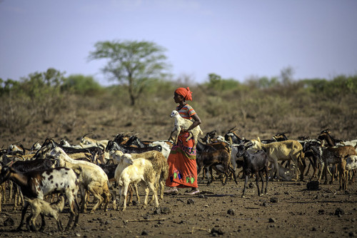 GoKNELEWMAA7 t6?format=jpg.jpg