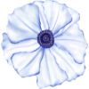 Untitled design (15).png