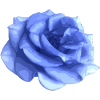 Untitled design (16).png
