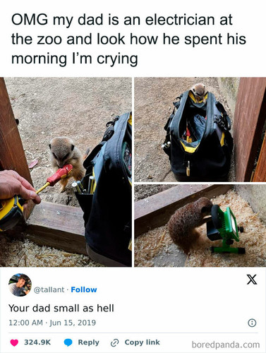 memes against humanity 10 67f8de54305b6 700.jpg