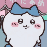 67deccf7d1487.gif