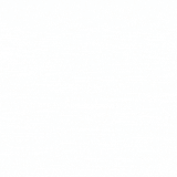 SPR300X300.gif