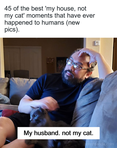 807a74a3 3a5c 4956 aa01 1c841530b5af.png