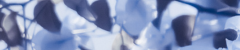 ezgif 7364330312a192.png