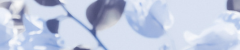 ezgif 71b2693400210f.png