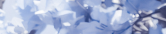 ezgif 728004125d5192.png