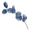 Untitled design (11).png