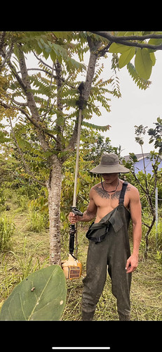 477369643 122114938994701537 1734989170060181544 n.jpg