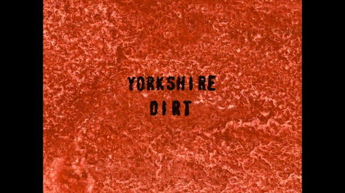 vlcsnap 2025 04 11 21h03m19s814.png