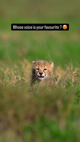 qsXnHA98LI7JHdS .jpg