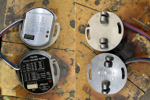 08 iggy frontBack.jpg