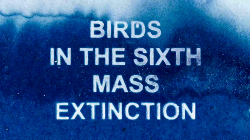 vlcsnap 2025 04 11 21h38m28s104.png