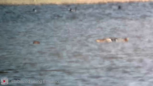 Hj3Dyeou 31Dskud.jpg