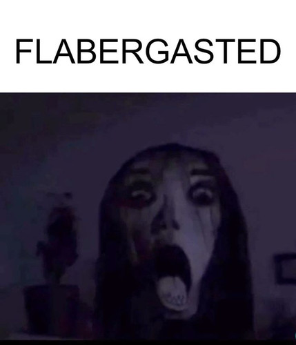 23a44933 d597 4848 a941 f5f6140ba77a.jpg
