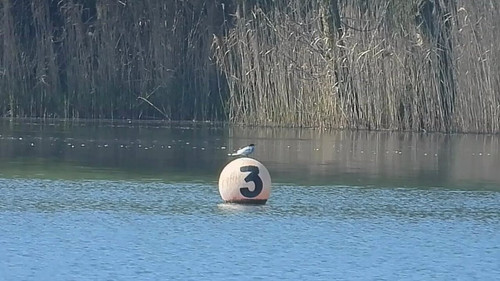 jEMuFY J9MahXGso.jpg