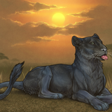 Adult Nyx - Lioden.png