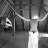 IMG 8198.gif