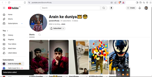 Screenshot 4.png