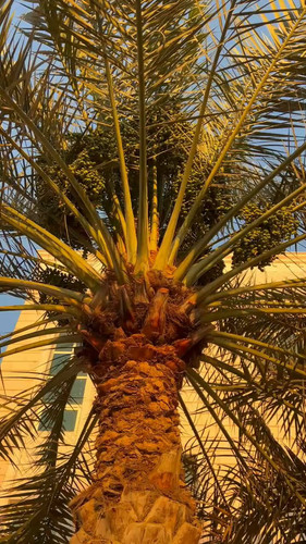 iiCxsW1GFUC1Z5I .jpg