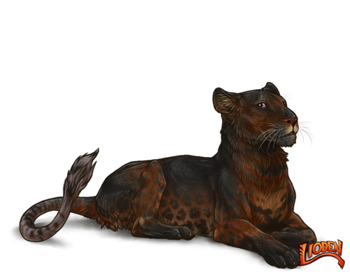lioden wardrobe (5).png
