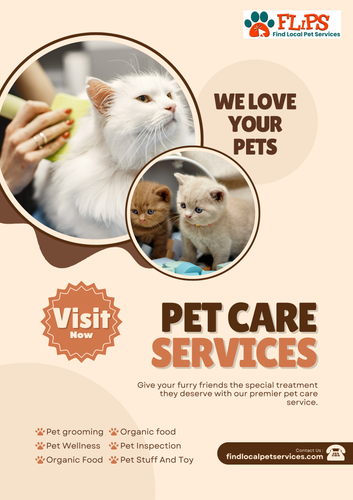 Top Local Pet Services Near You Every Pet Parent Should Know About.png