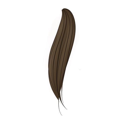 RazashCurls (1).png