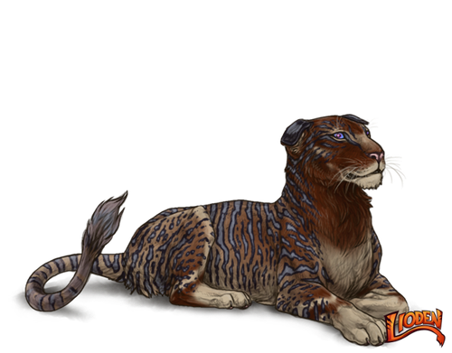 lioden wardrobe (6).png
