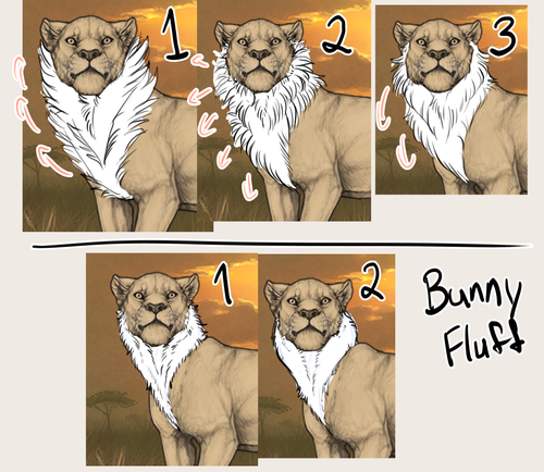 ManeSketches.png