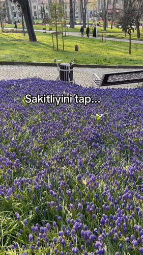 xYScNrqru3CWr tE.jpg