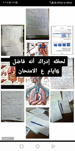 Screenshot 20250412 170945 com.beint.zangi.jpg