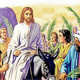 500x324 Niedziela palmowa.jpg