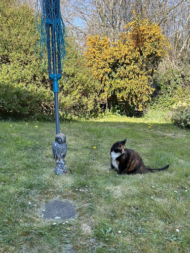 GoRME23XgAkXz W.jpg